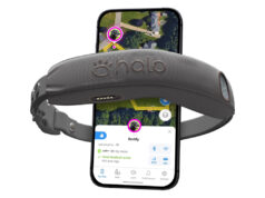 Halo Collar 4